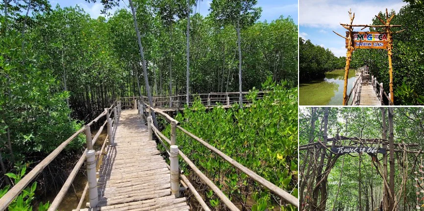 Omagieca Obo-ob Mangrove Garden boardwalk, Bantayan Island
